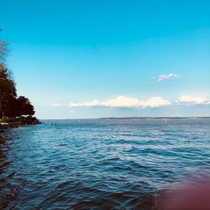 Meet your Posher, Nelson